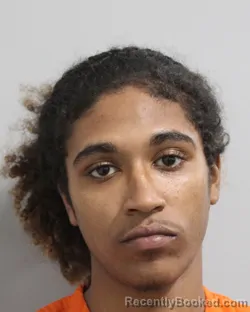 Mugshot of BRIYAN WARD