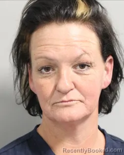 Mugshot of THERESA BARNES