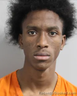 Mugshot of ANTHONY STEPHENS JR