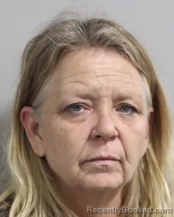 Mugshot of KAREN DIAS