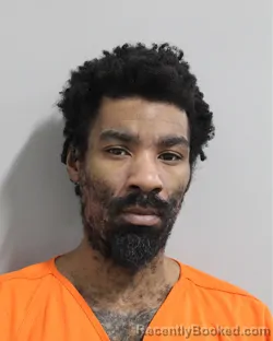 Mugshot of RONALD ROBINSON