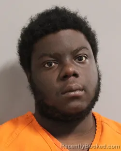 Booking photo from Polk County, Florida