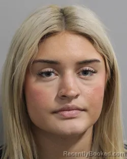 Booking photo from Polk County, Florida