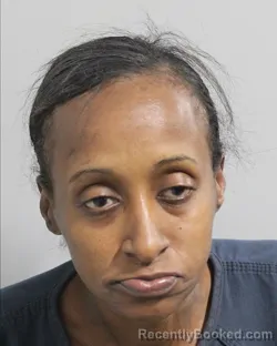 Mugshot of ASHLEY ANDERSON