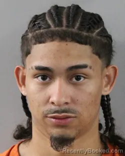 Booking photo from Polk County, Florida