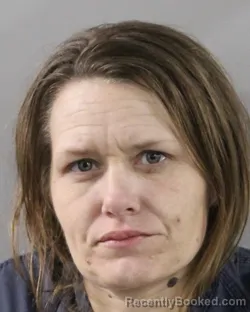 Booking photo from Polk County, Florida