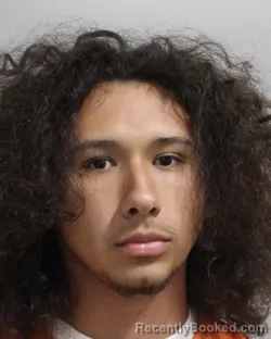 Mugshot of GIL APOLINARIS