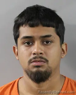 Mugshot of FERNANDO JIMENEZ