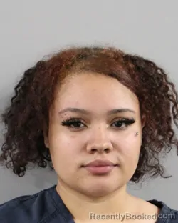 Mugshot of ALANA SEALS