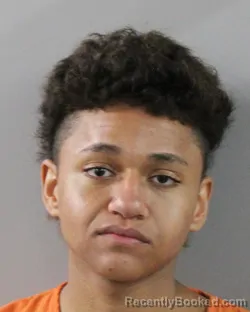 Mugshot of LUIS OTERO