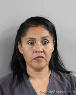 Mugshot of GEORGINA VELAZQUEZ CALVO