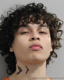 Mugshot of BRYAN VILLALOBOS-BENITEZ