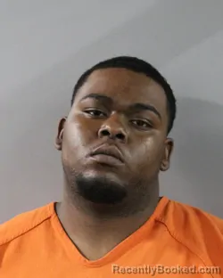 Mugshot of DRAWON WILLIAMS