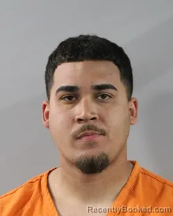 Mugshot of LOUIS RODRIGUEZ