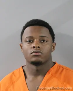 Mugshot of RYAN REEVES