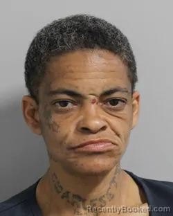 Mugshot of JOLETA LOVETT