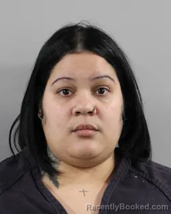 Mugshot of BIANGIS RODRIGUEZ