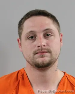 Mugshot of TANNER FITZGERALD