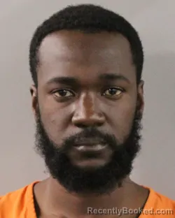 Mugshot of ORLY LAROSILIERE