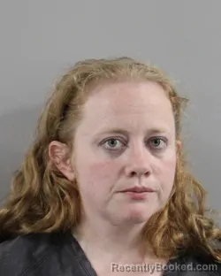 Booking photo from Polk County, Florida