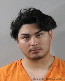 Mugshot of JOEL OROZCO SALOMON