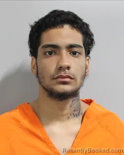 Mugshot of JENIEEL MERLE