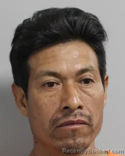 Booking photo from Polk County, Florida