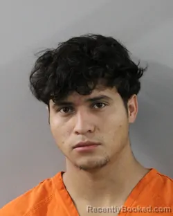 Mugshot of DENIS AREVALO RIVAS