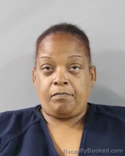 Mugshot of MIRIAM WILSON