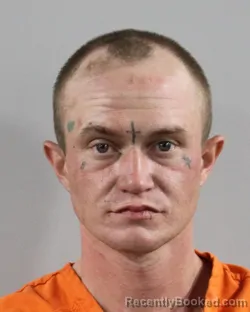 Booking photo from Polk County, Florida