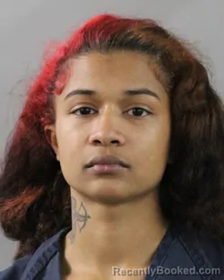 Mugshot of PRESLEY SMITH