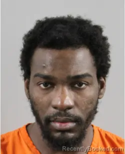 Mugshot of JAYLIN LANDERS
