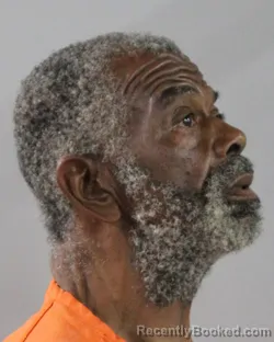 Mugshot of LONNIE BABERS