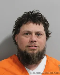 Mugshot of MICHAEL WELLS