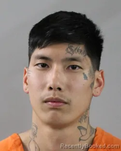 Mugshot of GREGORY SILVA