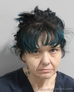 Booking photo from Polk County, Florida