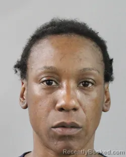 Mugshot of ERIKA LEWIS