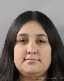 Mugshot of MILEIDIS QUERALES DORANTE