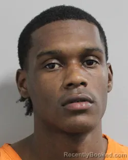 Booking photo from Polk County, Florida