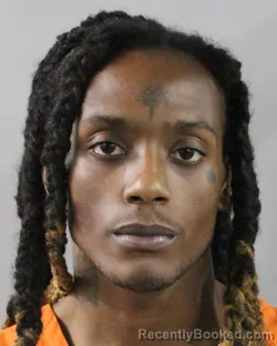 Booking photo from Polk County, Florida