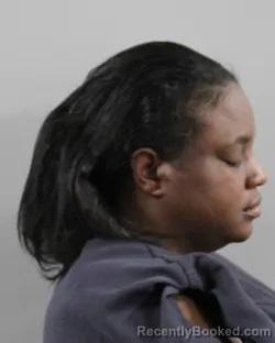 Mugshot of HENRIETTA NIXON