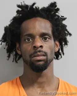 Mugshot of ADRIYEL TODMAN