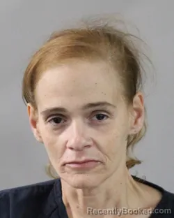 Booking photo from Polk County, Florida