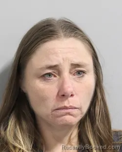 Booking photo from Polk County, Florida