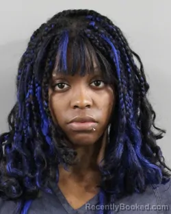 Mugshot of SYANNE ROBERSON