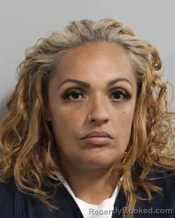 Booking photo from Polk County, Florida