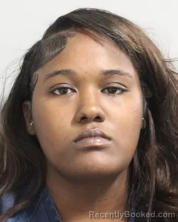 Booking photo from Polk County, Florida