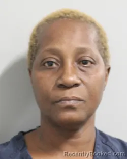 Booking photo from Polk County, Florida