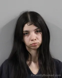 Booking photo from Polk County, Florida