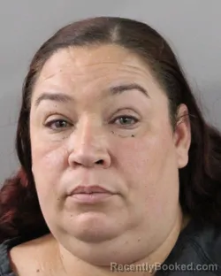 Booking photo from Polk County, Florida